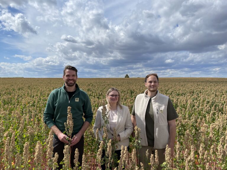 Quinoa aus der Wetterau: Wie ein regionales Unternehmen neue Wege in der Landwirtschaft geht